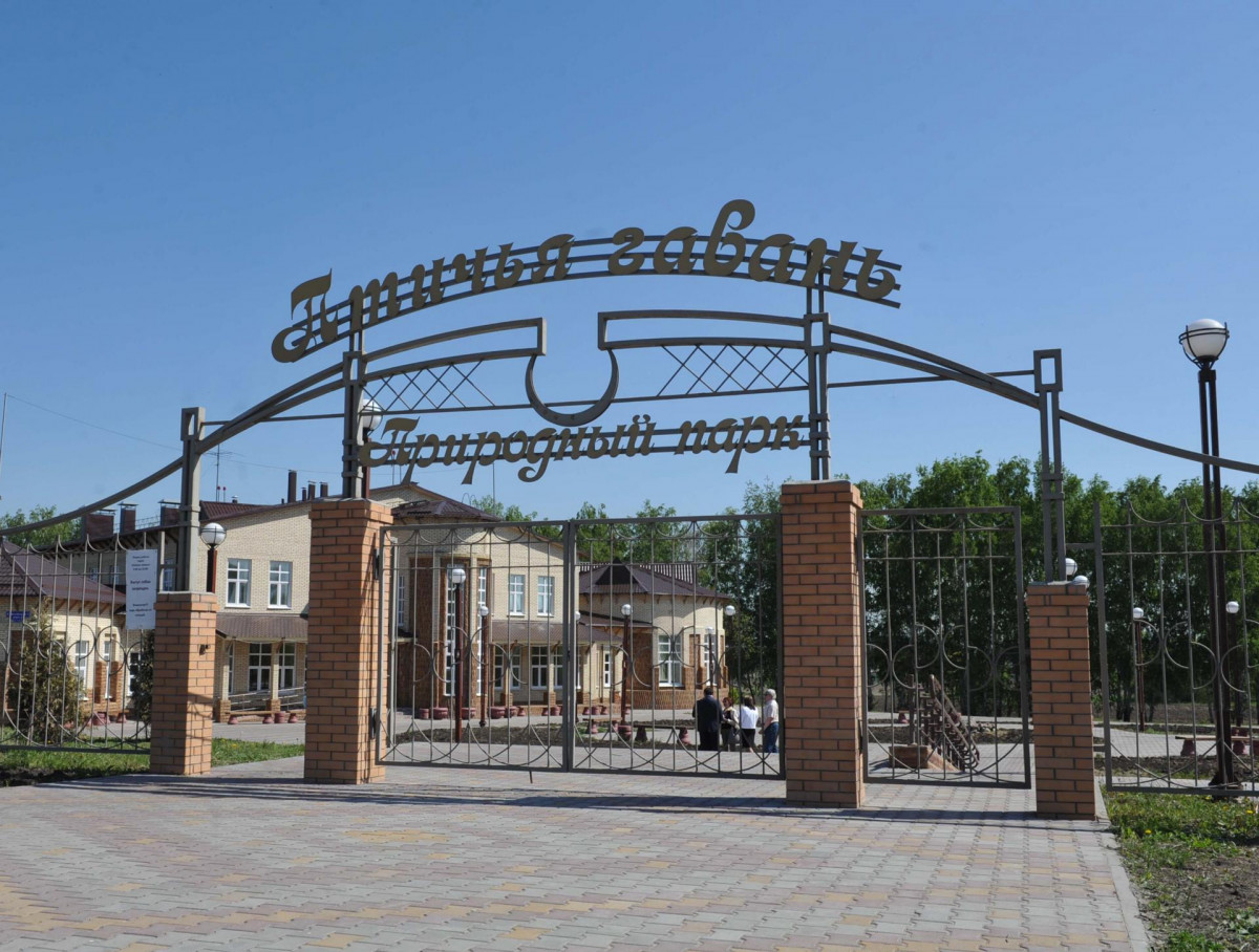 https://uploads.quaize.ru/uploads/1779880841360-a5f50eec8f6da50fe5122eea7bc18588.jpg